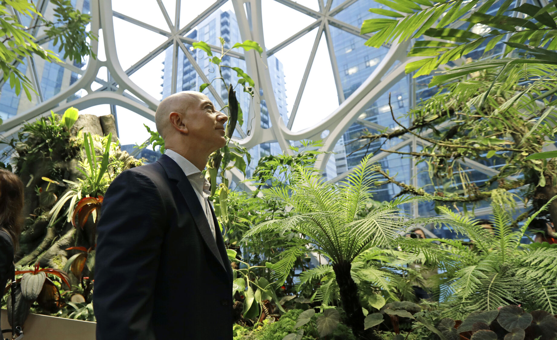 Jeff Bezos Climate Change
